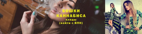 стаф Медногорск